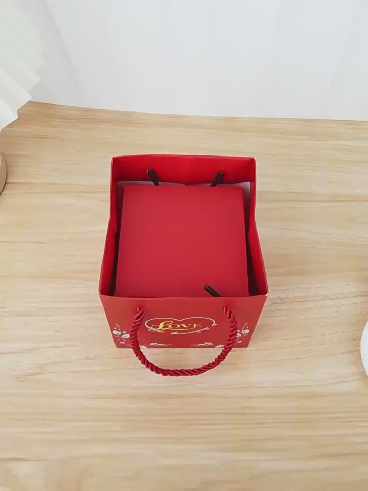 Charger la vidéo : 