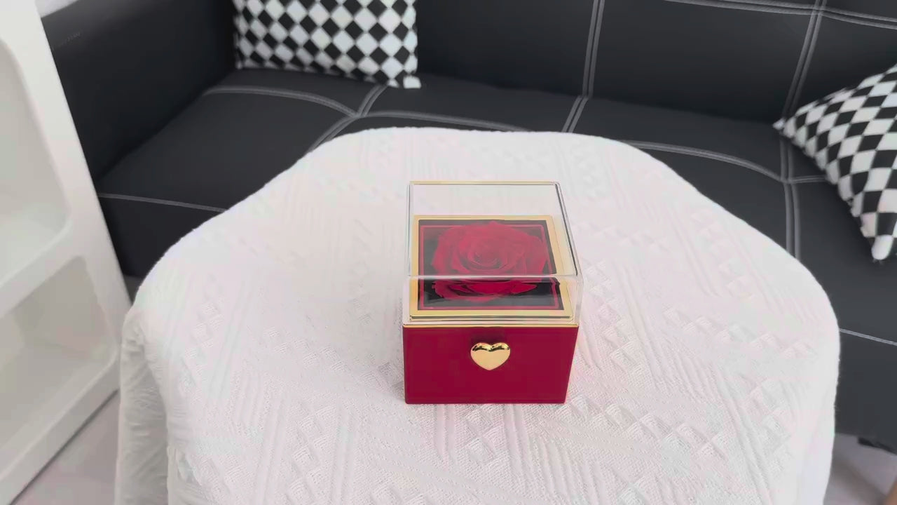 Charger la vidéo : 